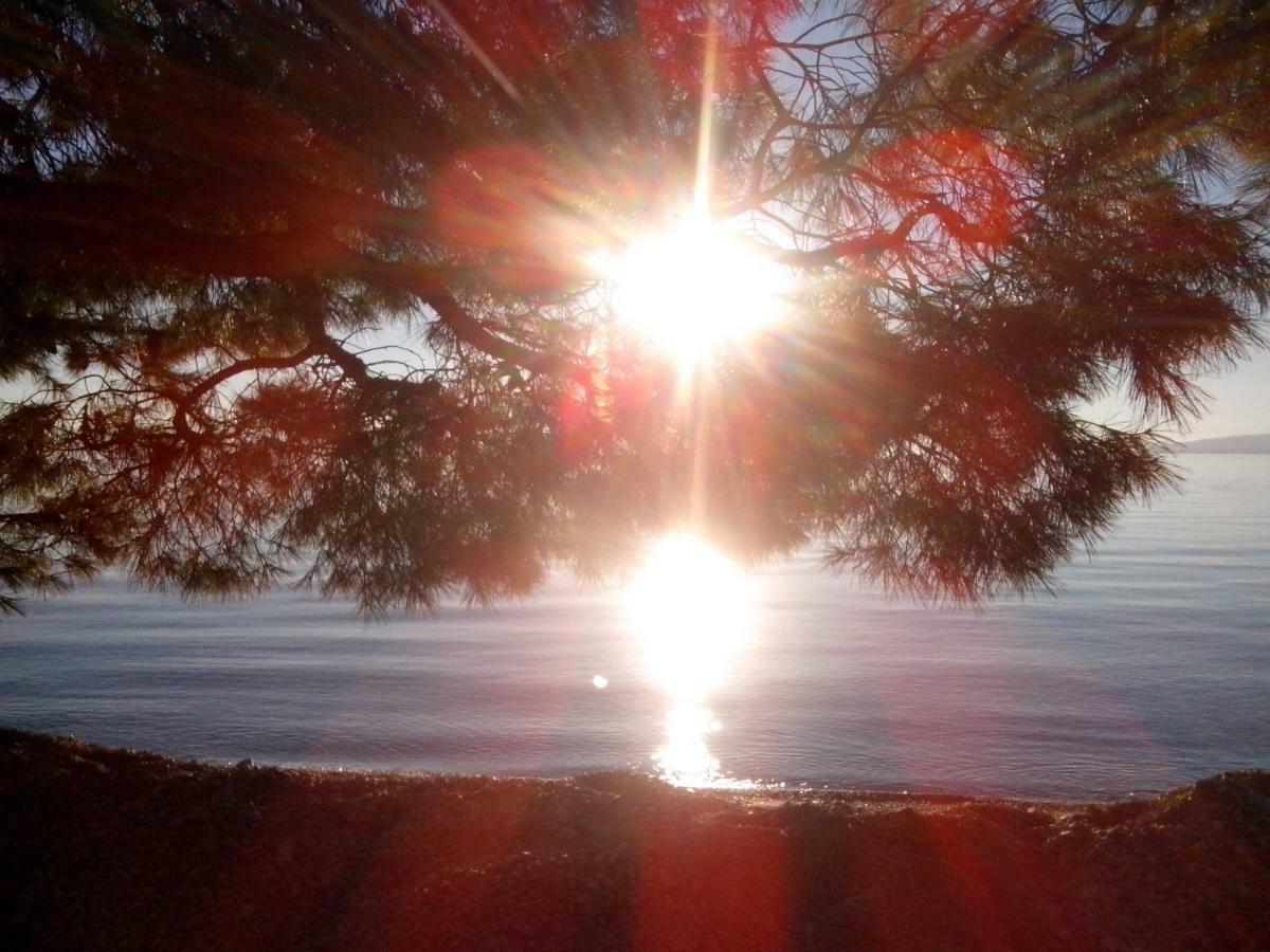 Apartman Robertino 1966 Makarska Buitenkant foto
